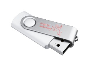 USB Флешка Квебек №8