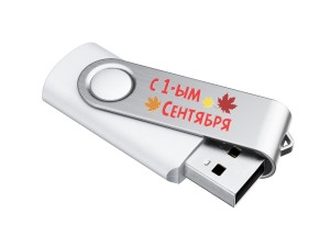 USB Флешка Квебек №9