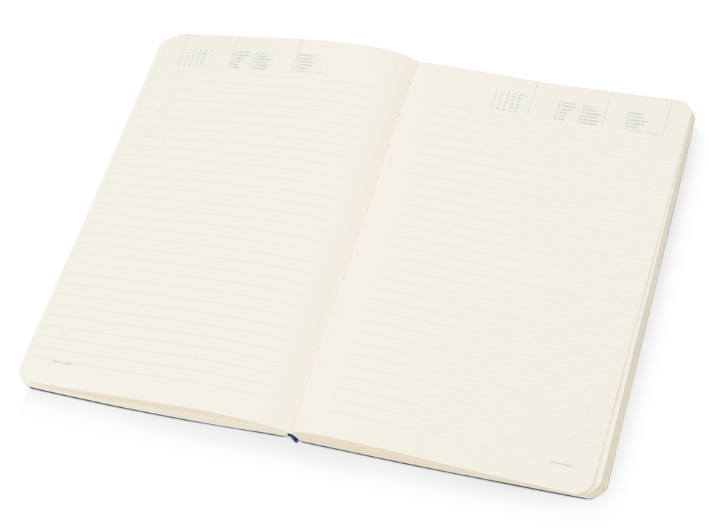 Внутренний разворот ежедневника недатированного формата А5, мягкая обложка