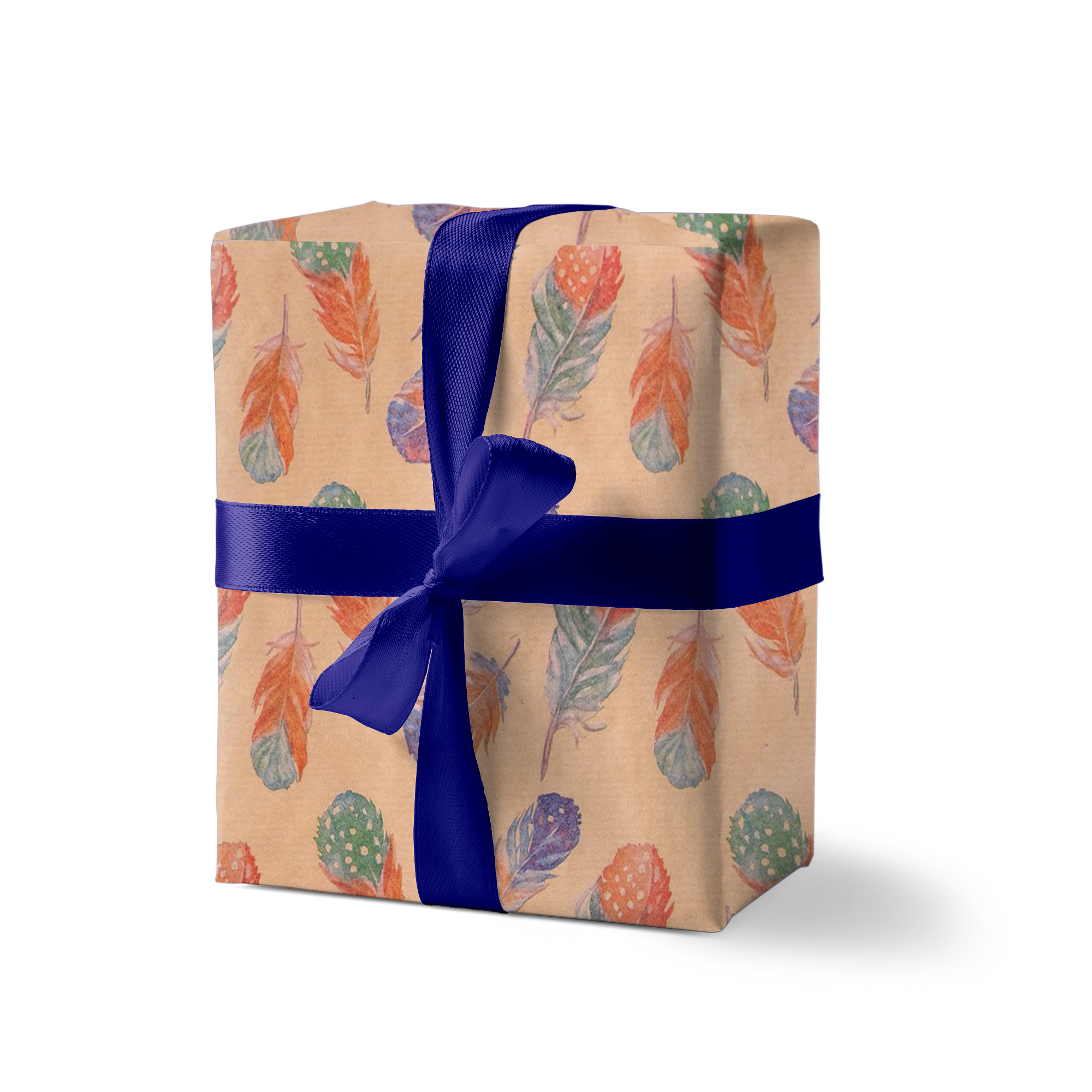 Упаковка №17 Перья